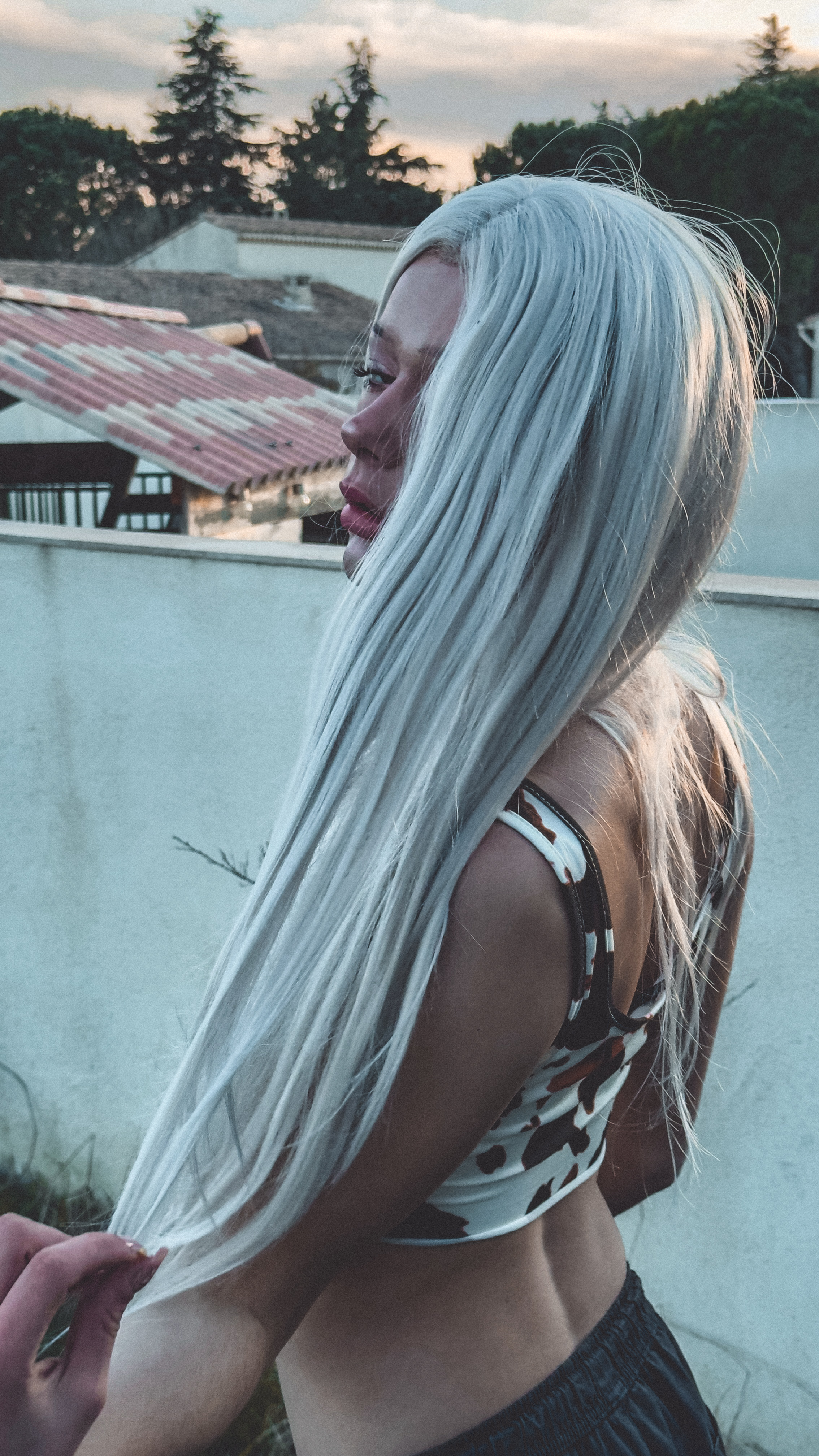 portraits — toit